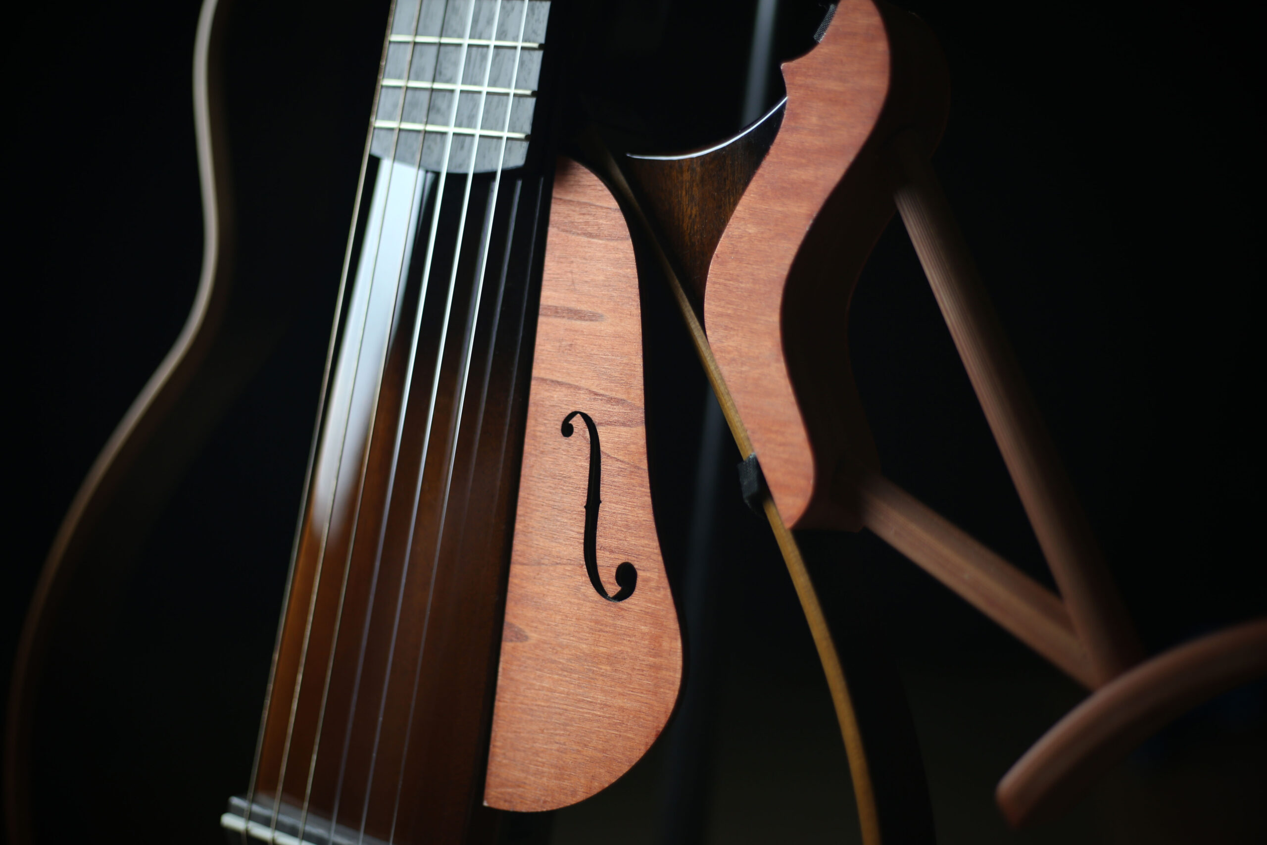 StrumGuard (SLG200 Pickguard) - Image 2