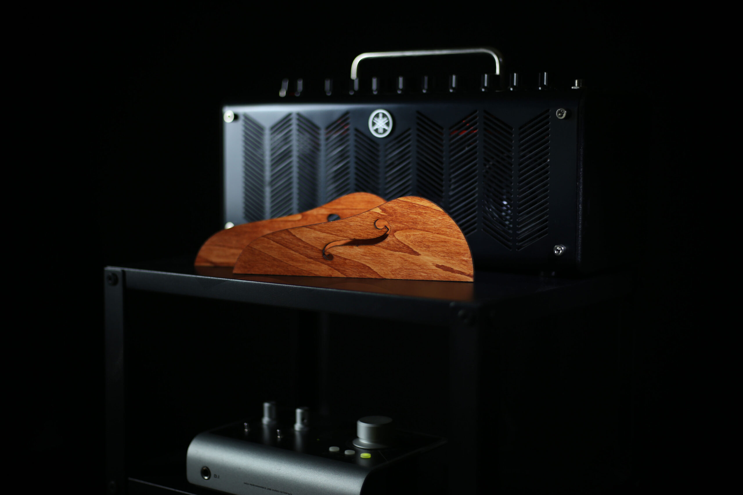 StrumGuard (SLG200 Pickguard) - Image 3